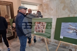 Ловеч - изложба - „Птиците на България през очите на един поляк“
