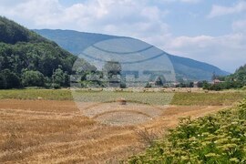 Трън - въздух - задимяване