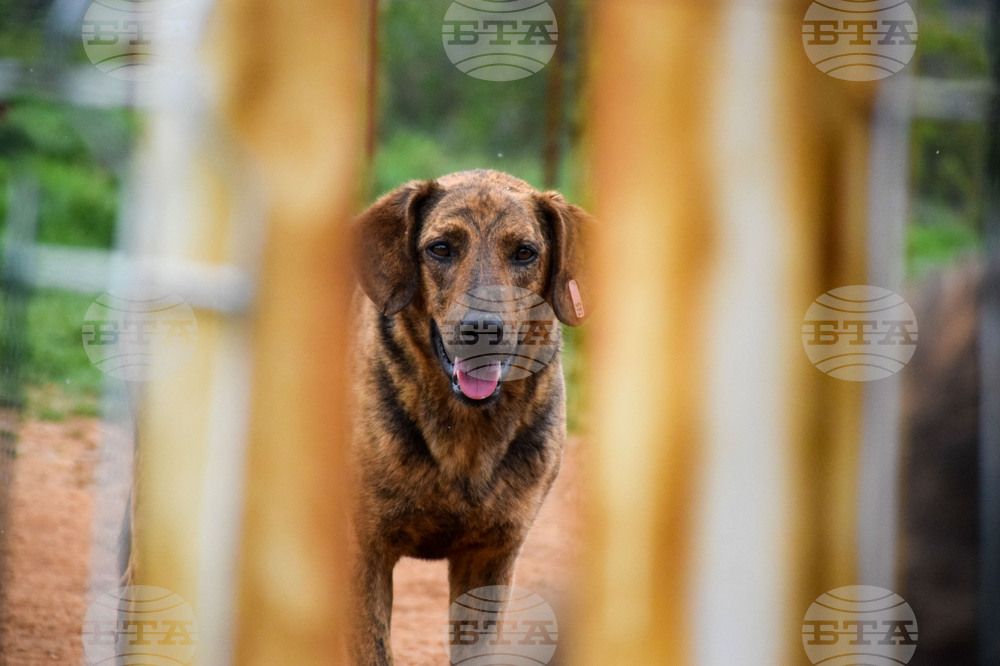 Село Логодаж - център за кучета - незаконни постройки - събаряне