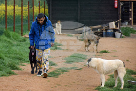 Село Логодаж - център за кучета - незаконни постройки - събаряне