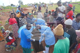 Congo Ebola