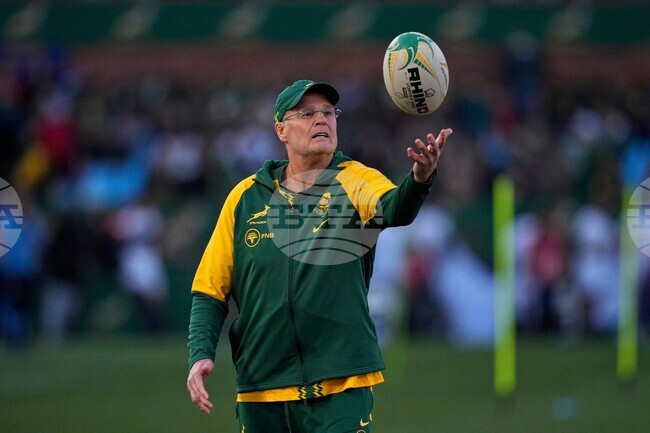 South Africa New Zealand Preview Rugby