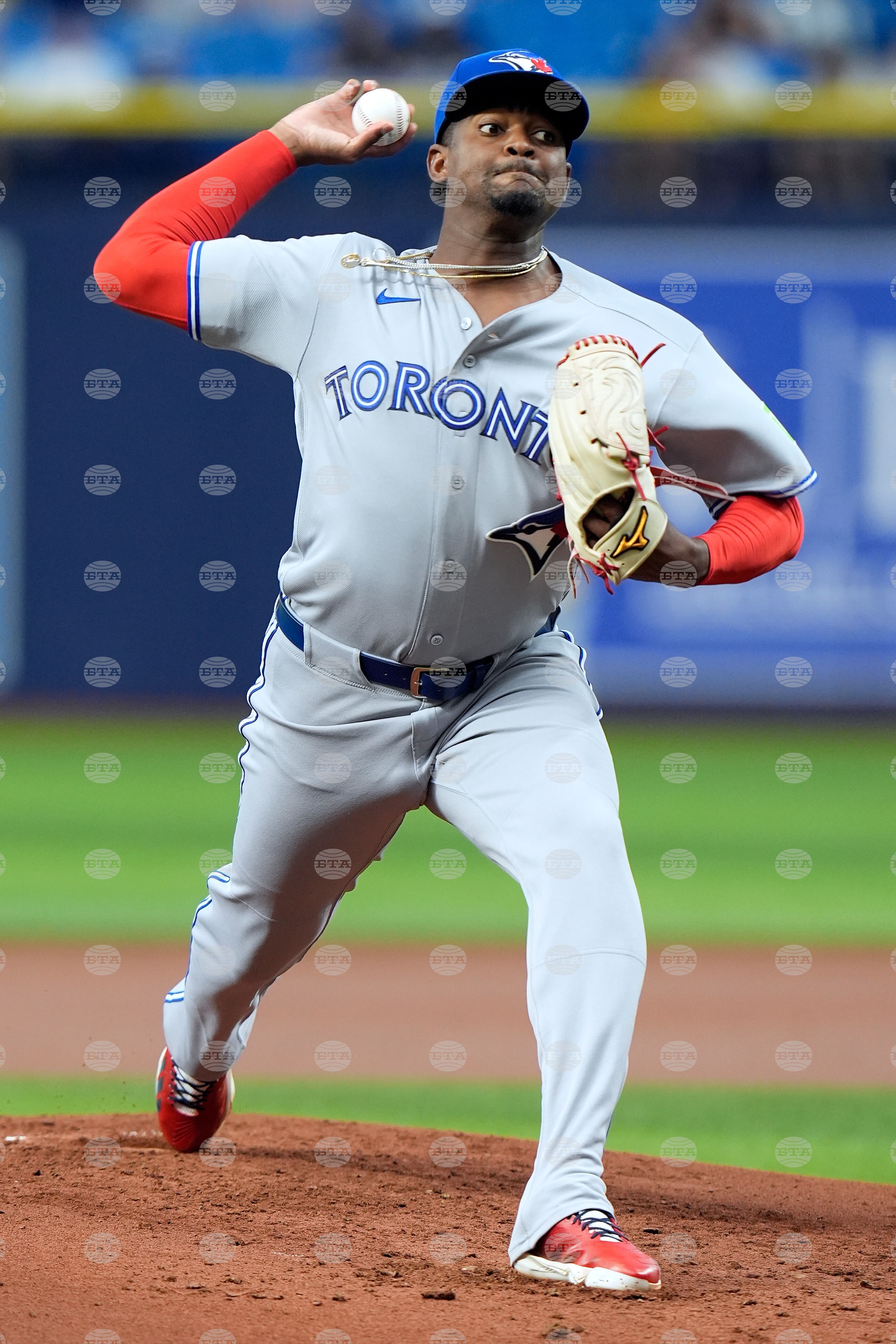 Blue Jays Rays Baseball