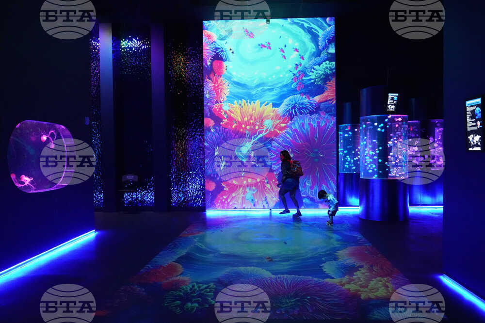 Florida Jellyfish Museum