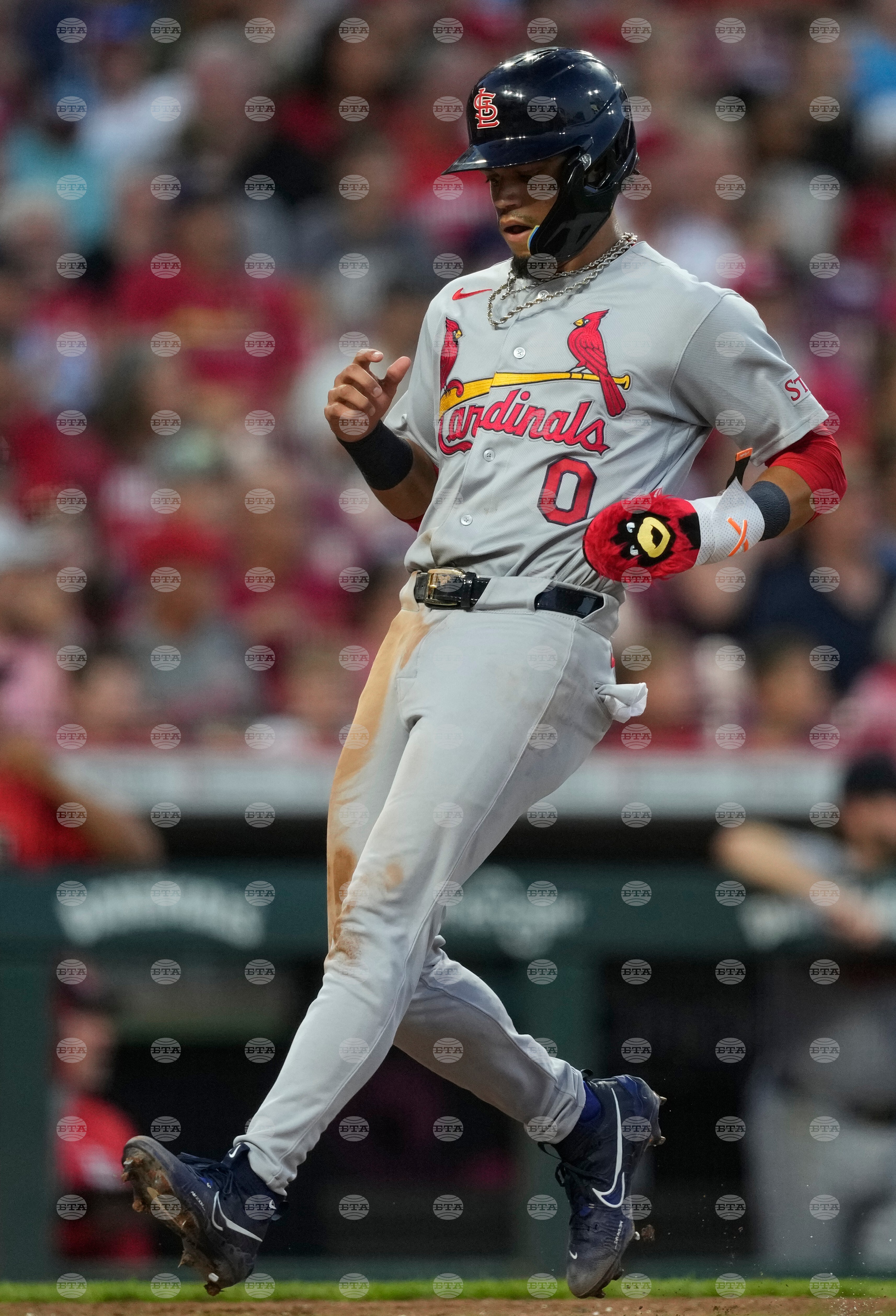 Cardinals Reds Baseball