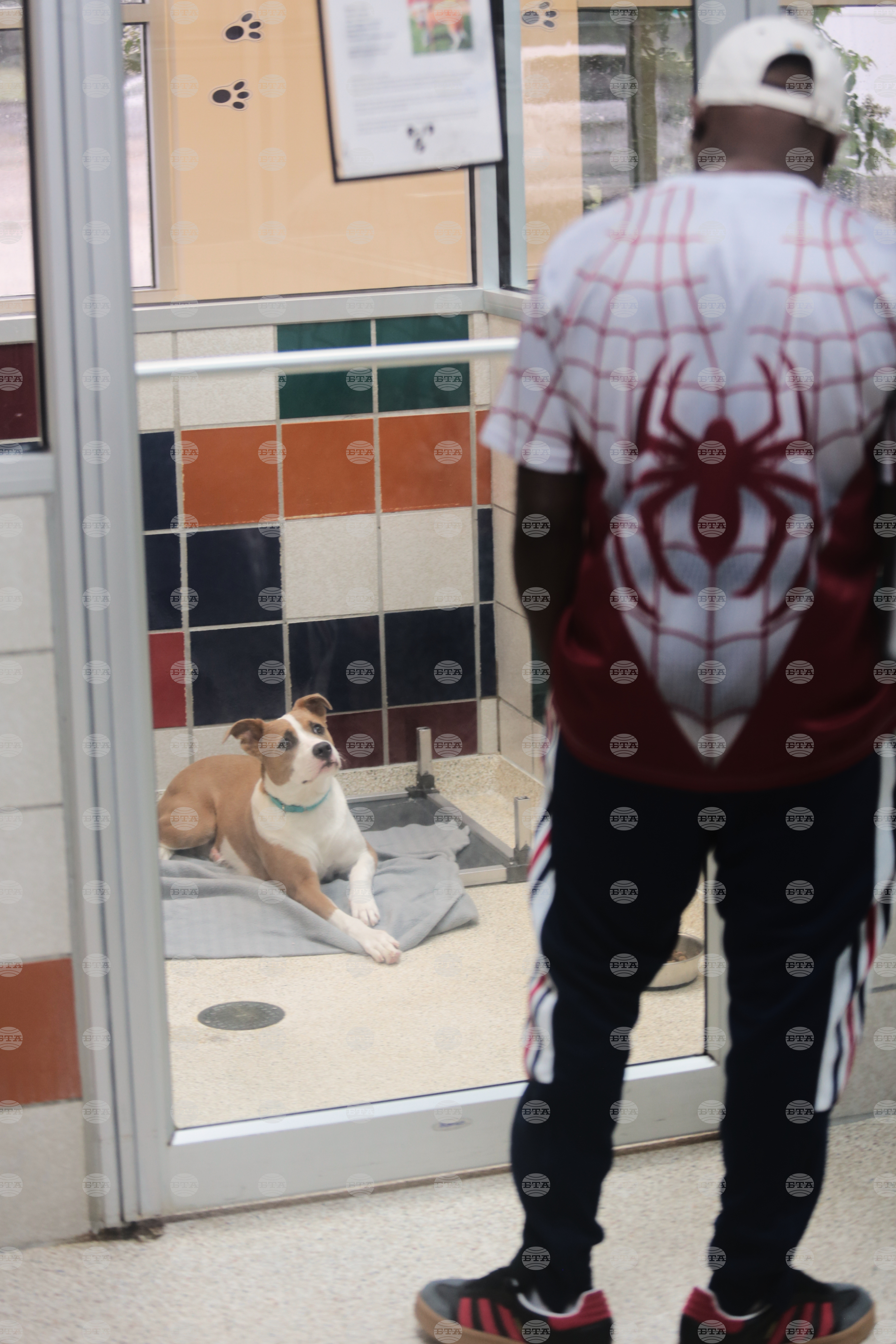 Screwworm Animal Shelters