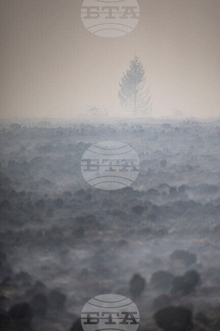APTOPIX Belgium Wildfires