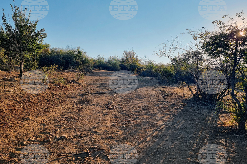 Село Габаре - пожар