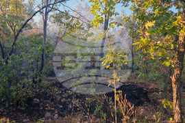 Село Габаре - пожар