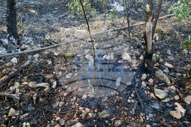 Село Габаре - пожар