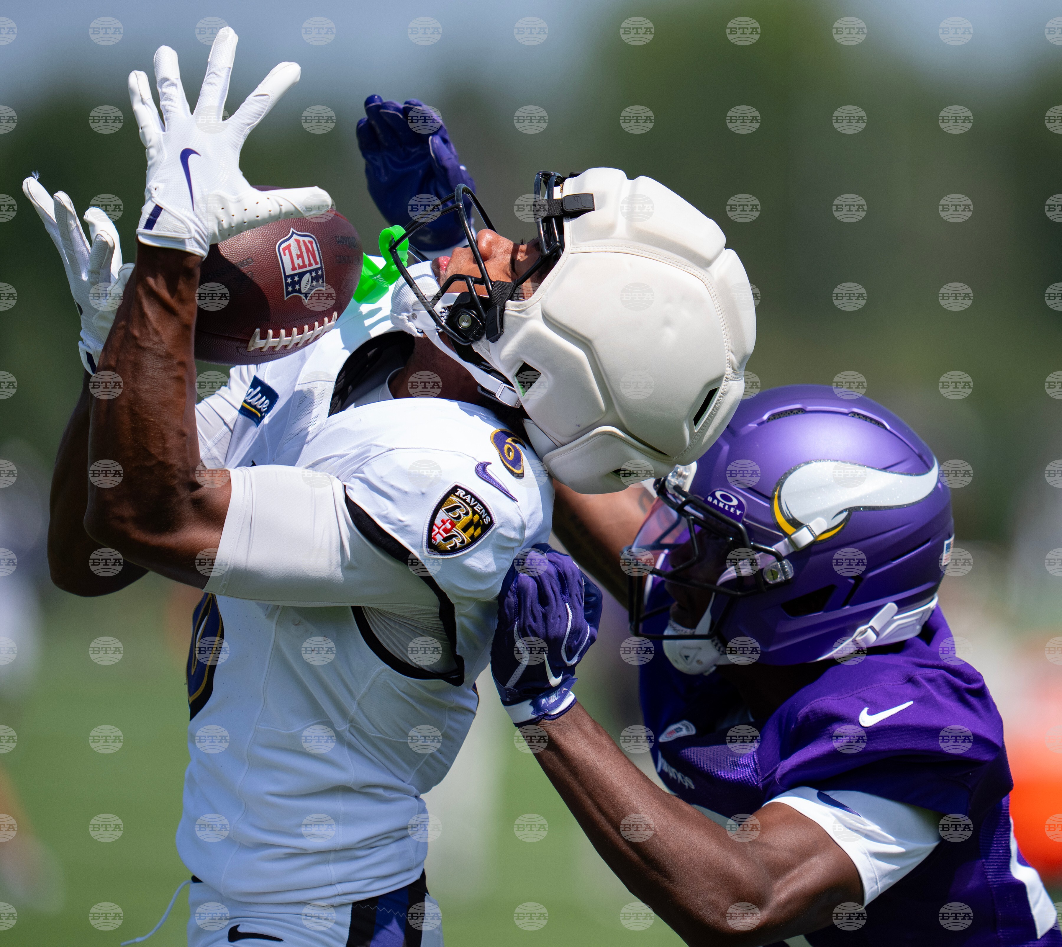 Ravens Vikings Camp Football