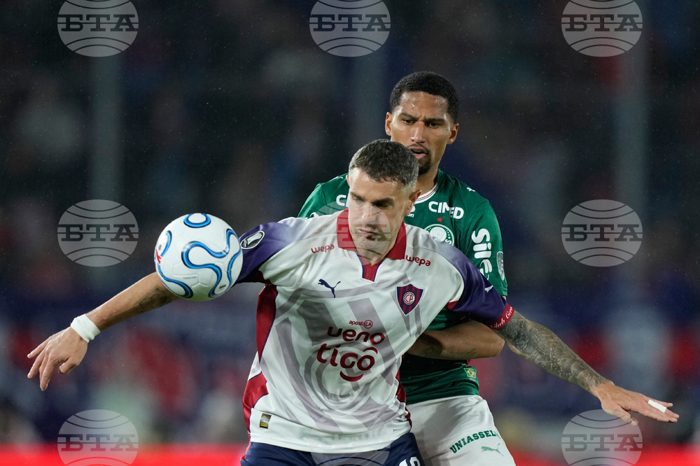 Paraguay Brazil Copa Libertadores Soccer