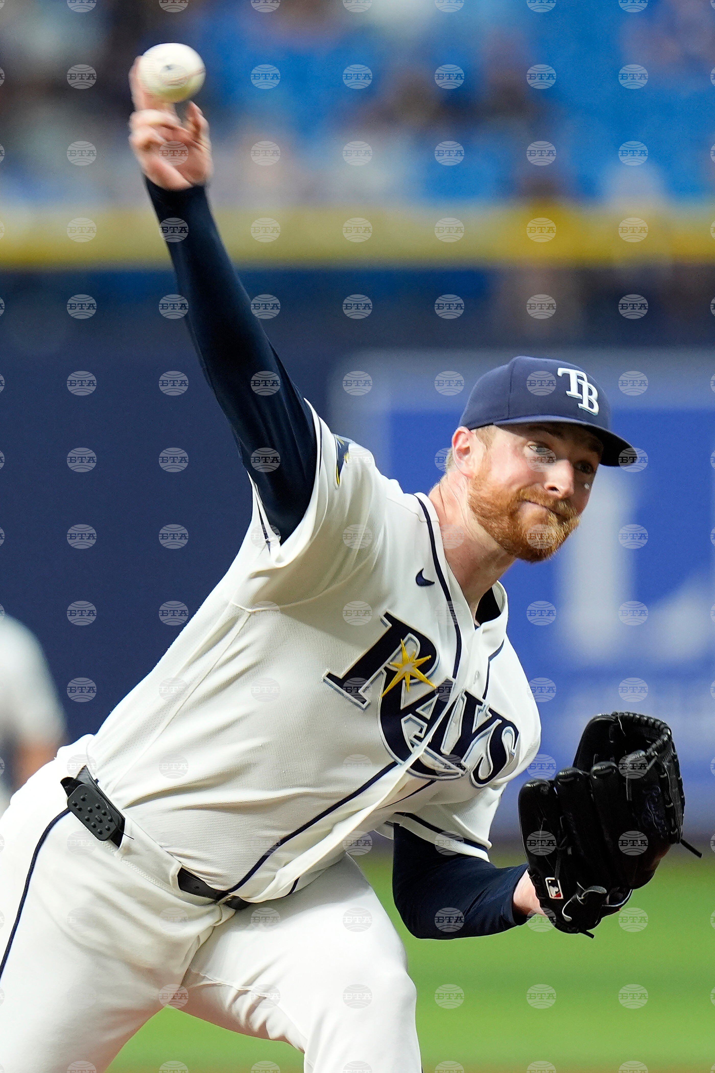 Blue Jays Rays Baseball