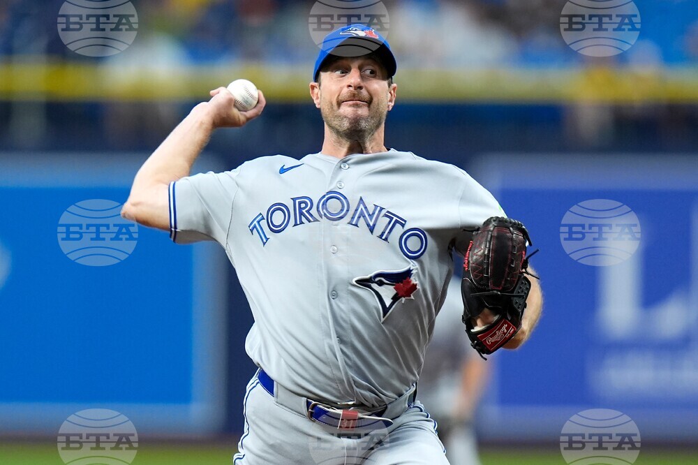 Blue Jays Rays Baseball
