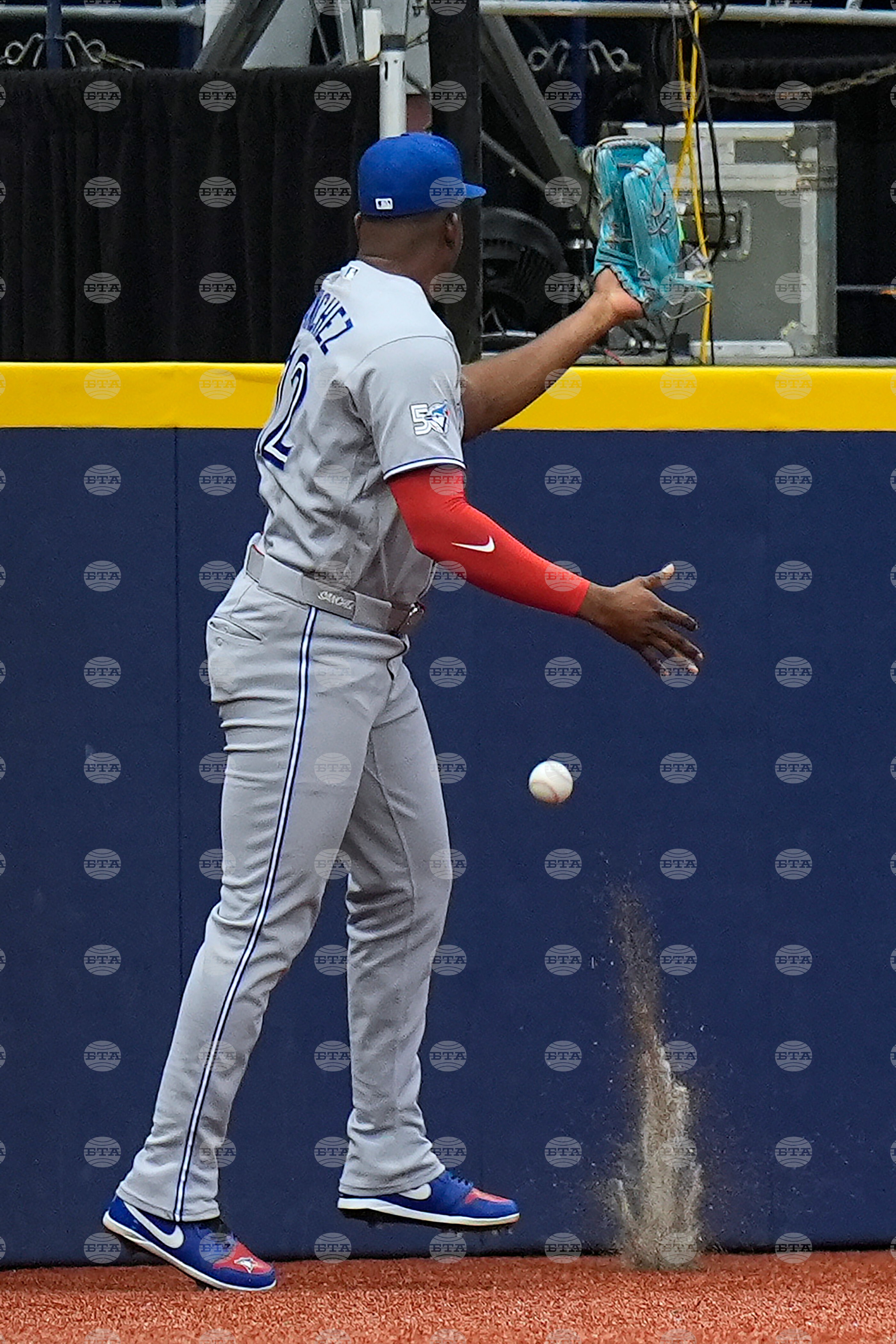 Blue Jays Rays Baseball