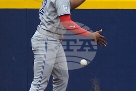 Blue Jays Rays Baseball