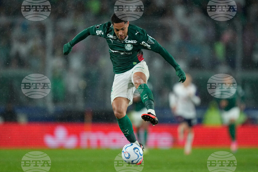 Paraguay Brazil Copa Libertadores Soccer