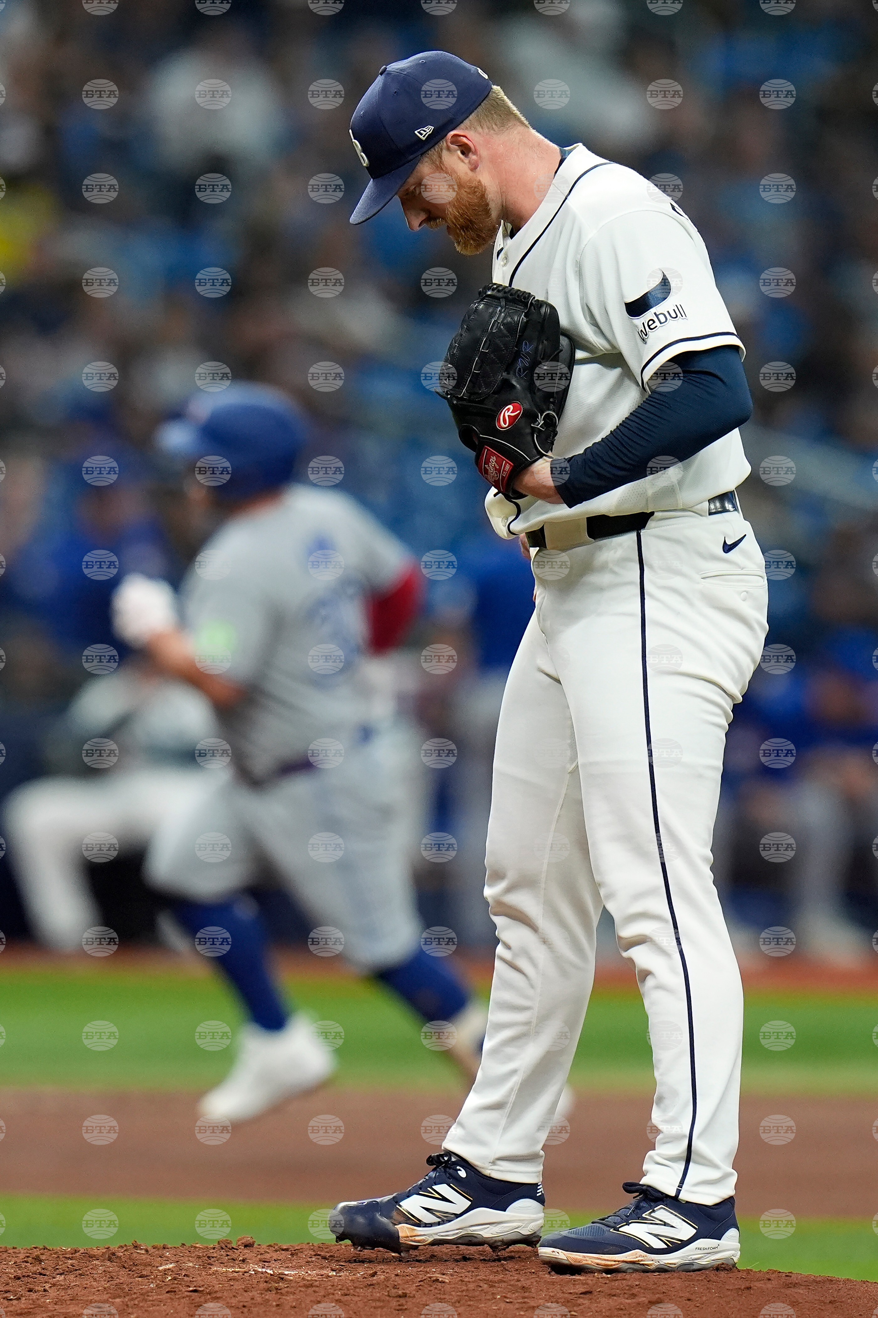 Blue Jays Rays Baseball