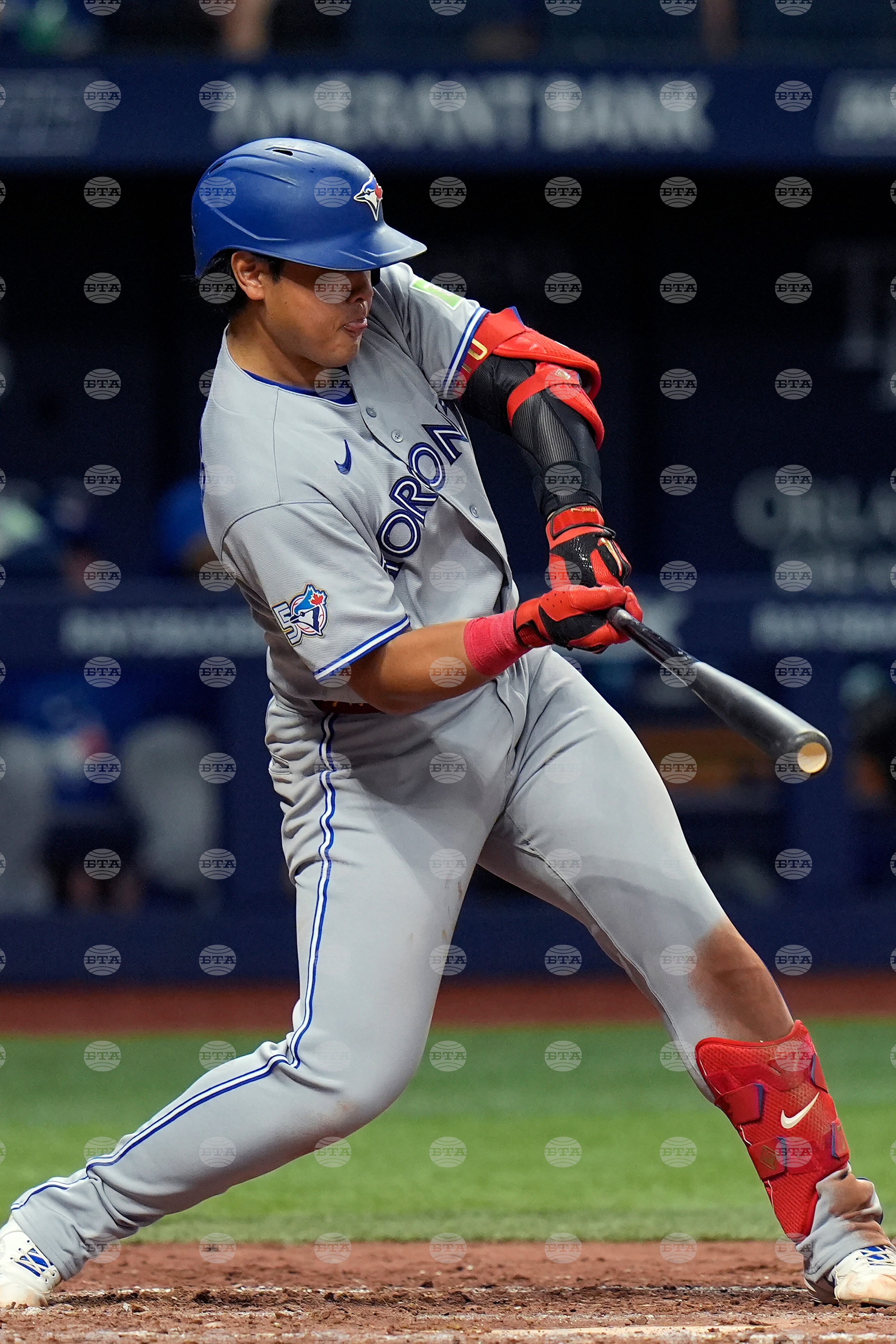 Blue Jays Rays Baseball