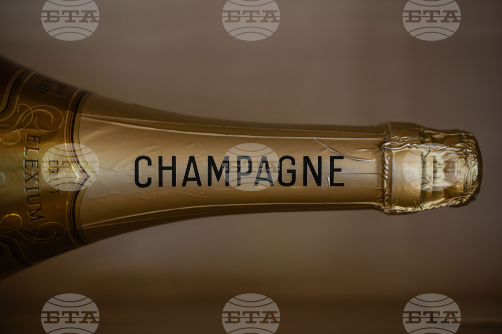 France Champagne Harvest