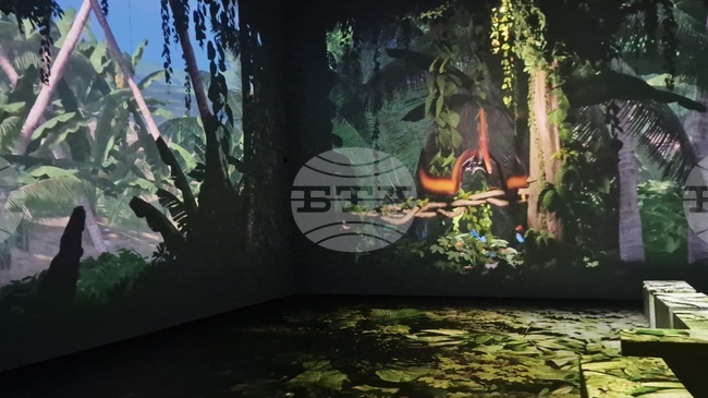 Romania's MINA Immersive Art Show Draws 60,000 Visitors During First Year in Sofia