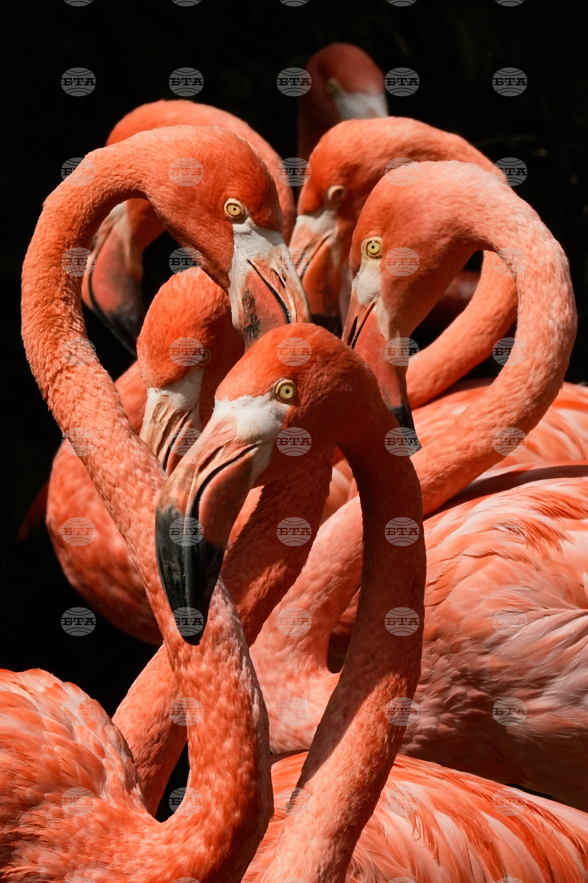 Germany Zoo