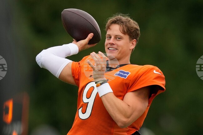 Bears Bengals Camp Football