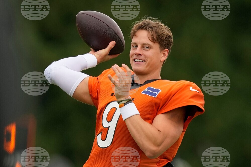 Bears Bengals Camp Football