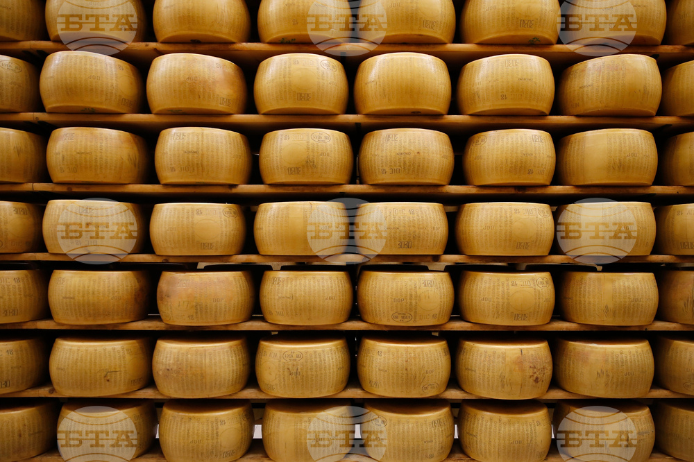 Italy Parmigiano Reggiano Fact Focus