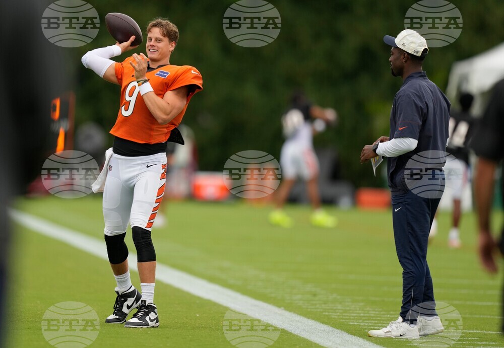 Bears Bengals Camp Football