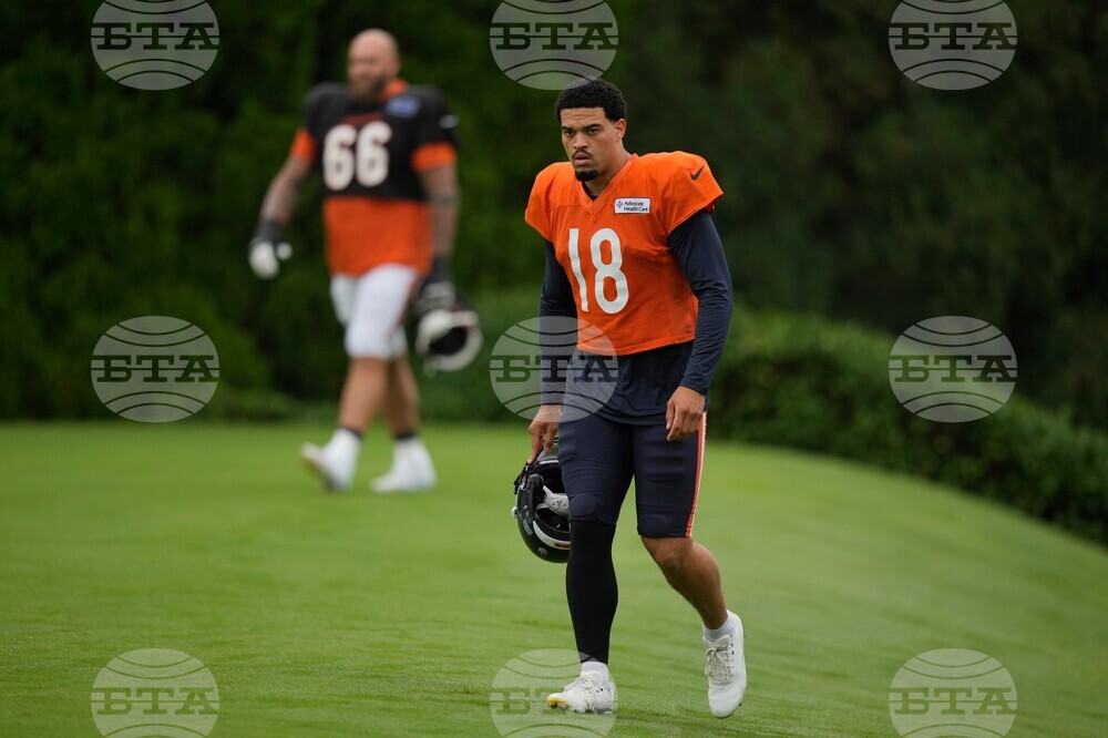 Bears Bengals Camp Football