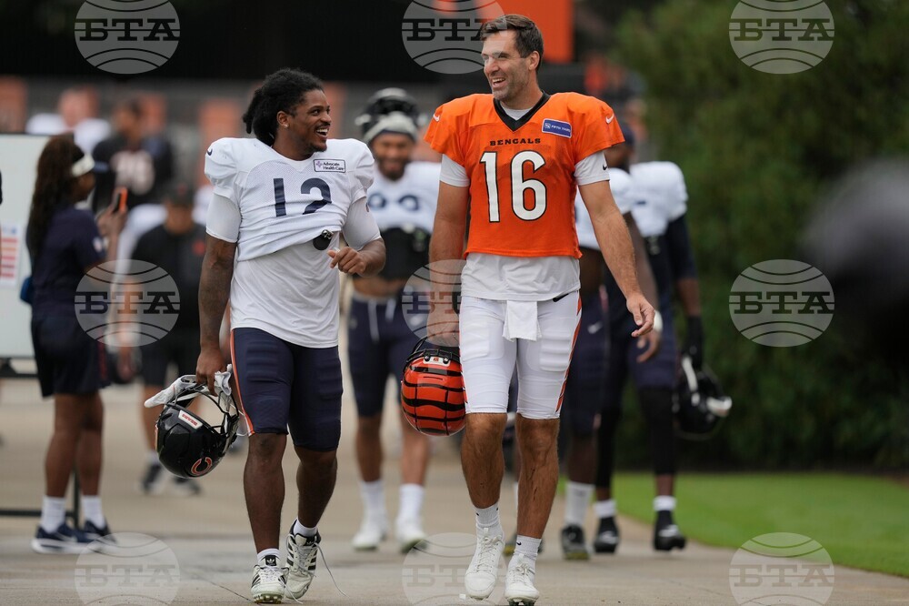 Bears Bengals Camp Football