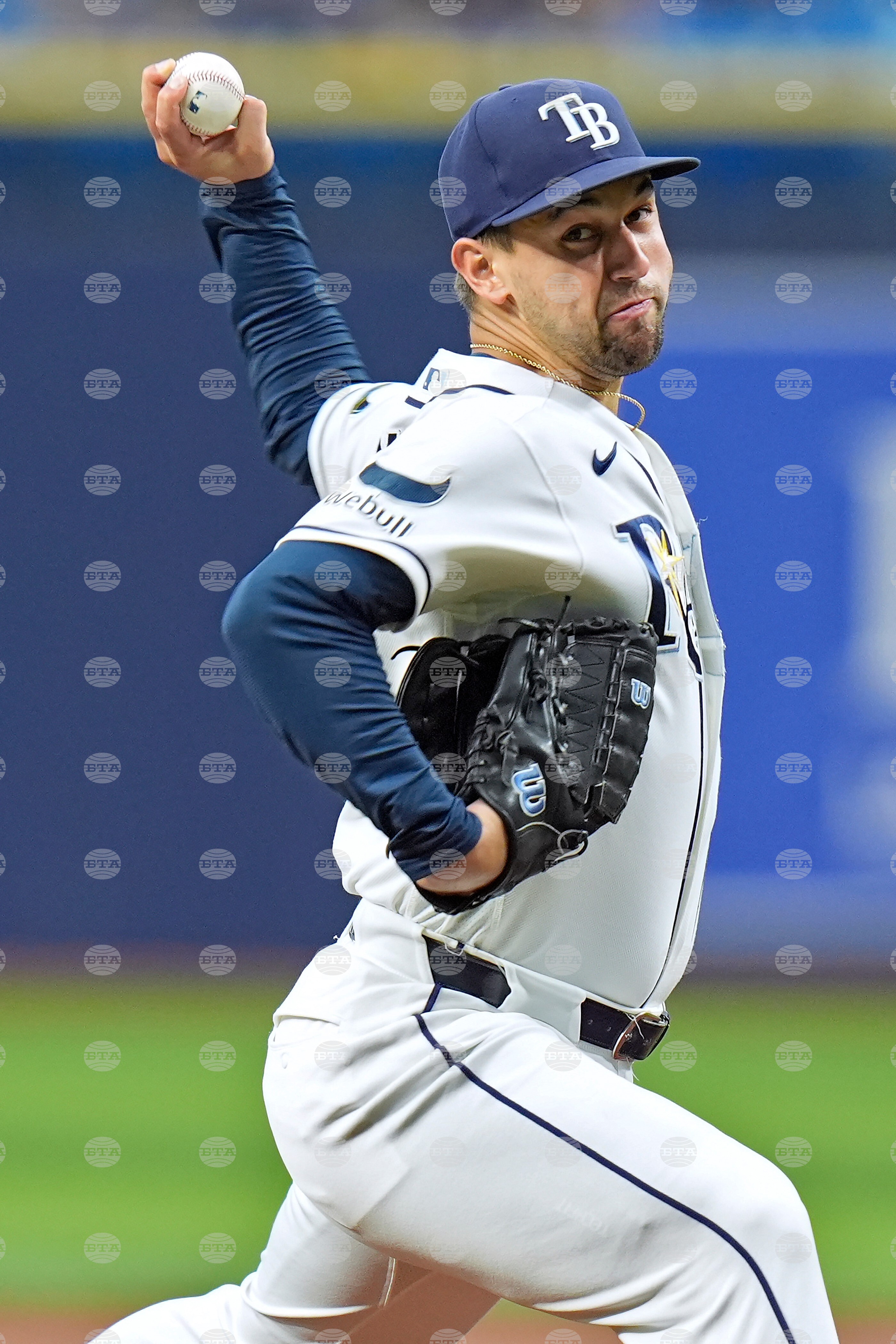 Blue Jays Rays Baseball