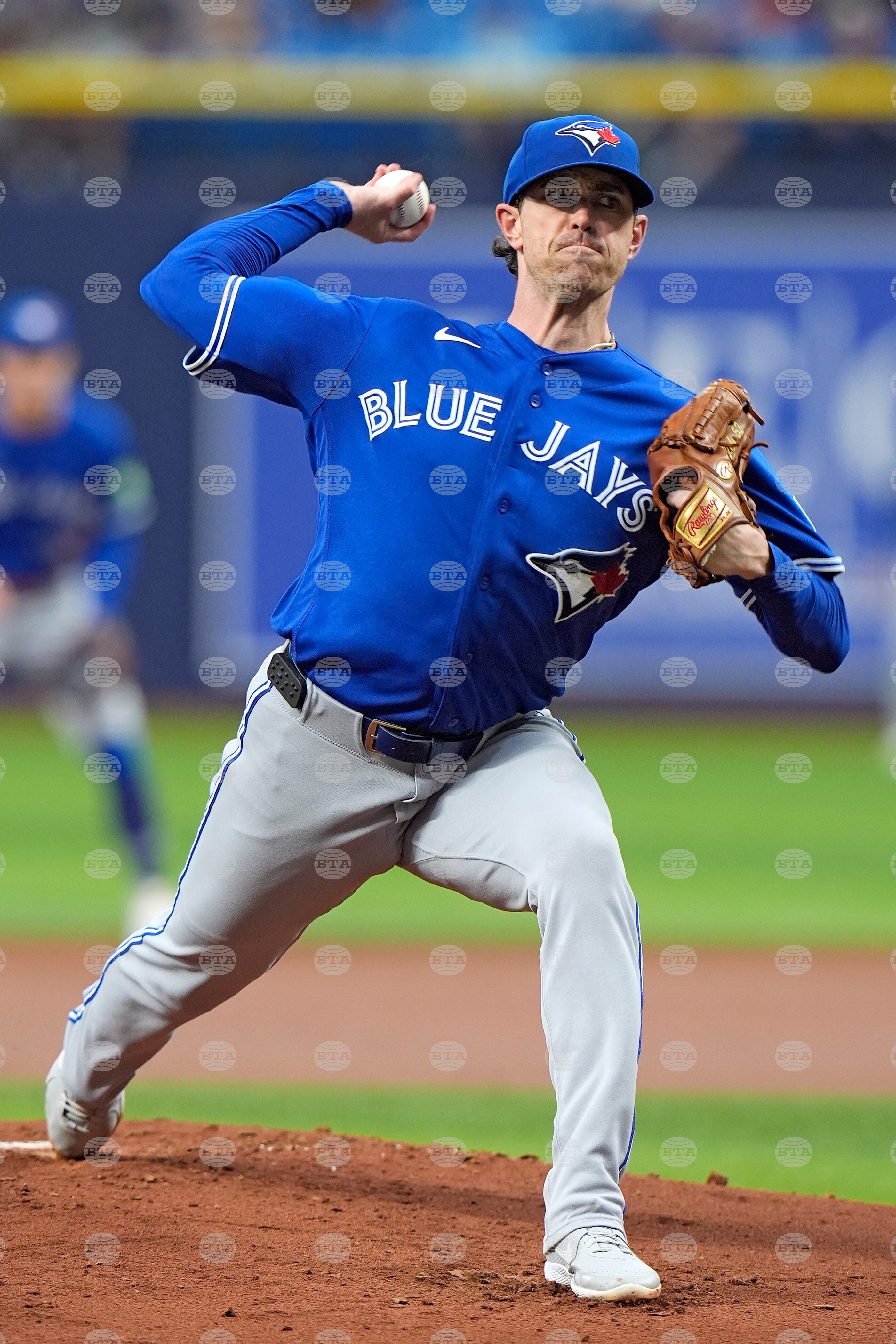 Blue Jays Rays Baseball