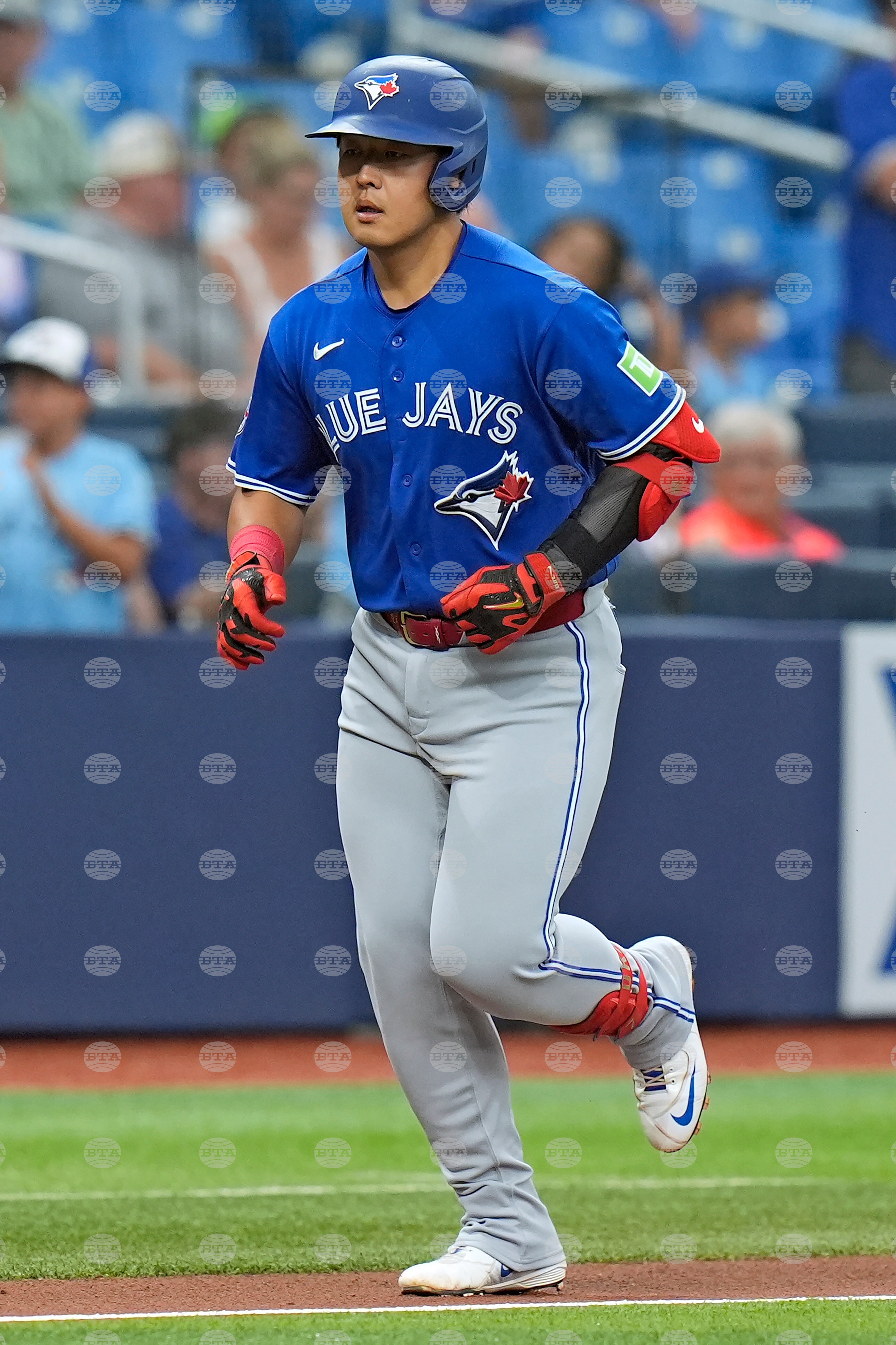 Blue Jays Rays Baseball