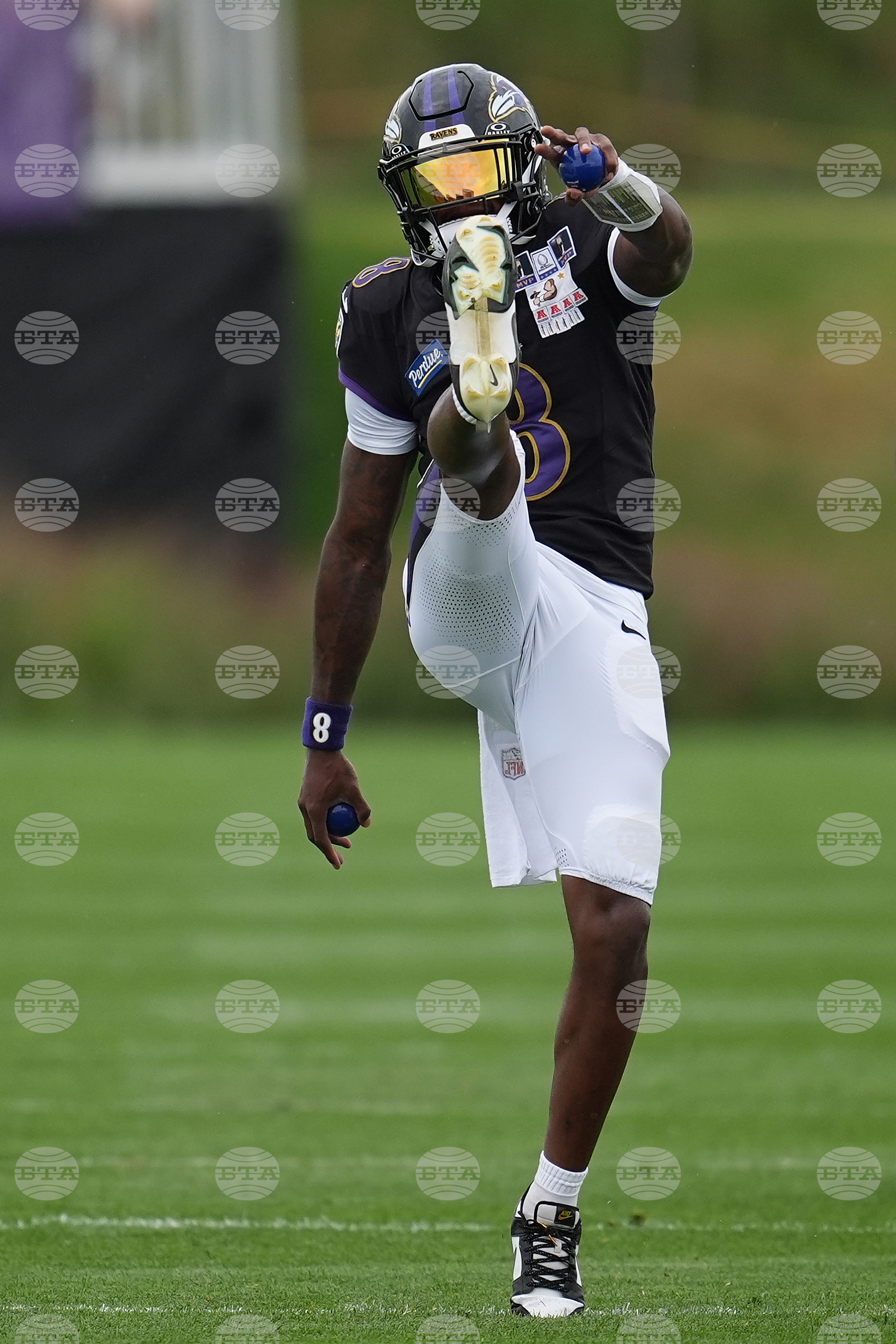 Ravens Vikings Football