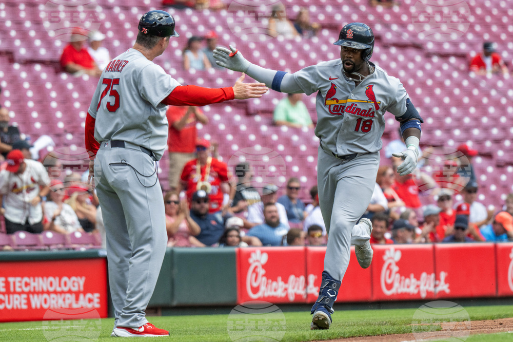 Cardinals Reds Baseball