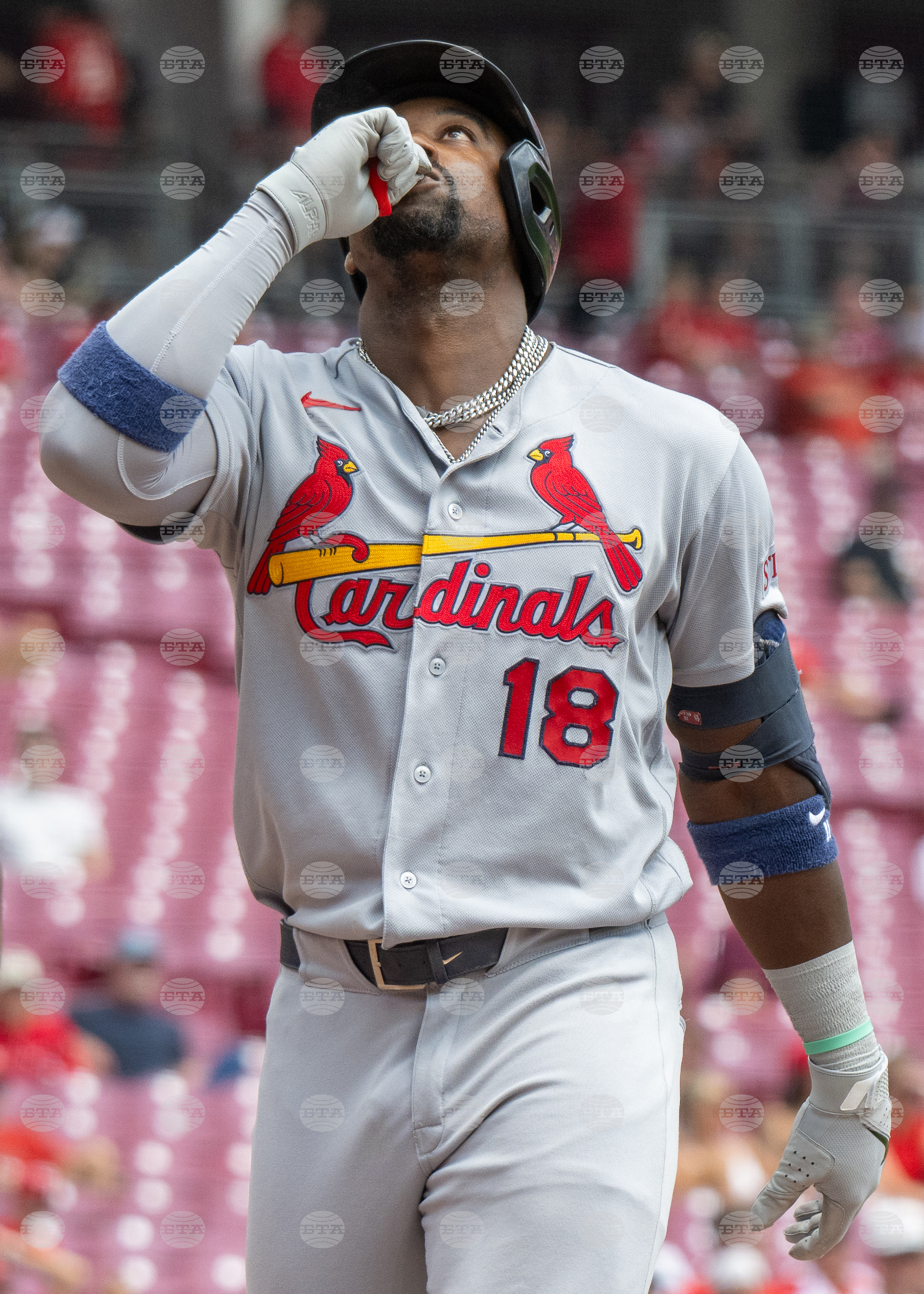 Cardinals Reds Baseball