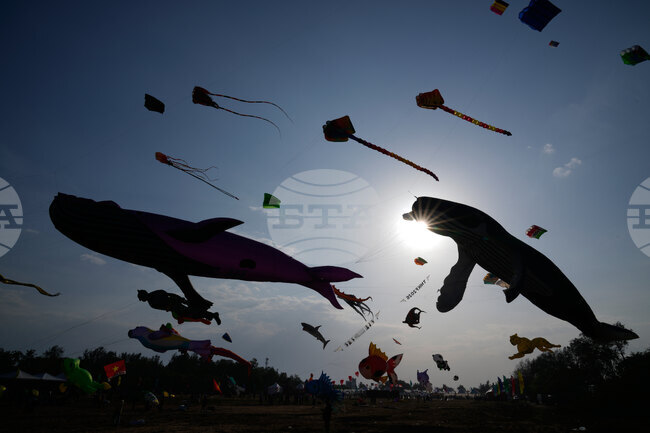 India International Kite Festival