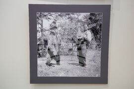 Бургас - Иван Пенков - изложба на фотографии