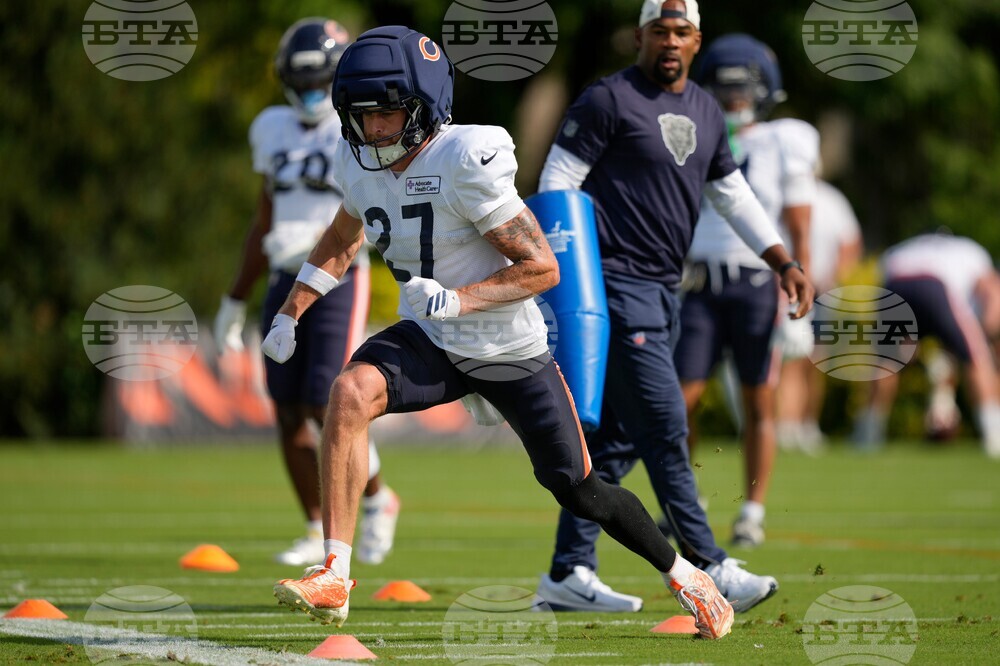 Bears Bengals Camp Football