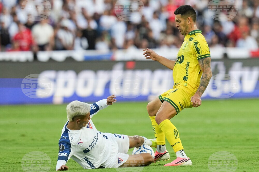 Ecuador Brazil Copa Libertadores Soccer