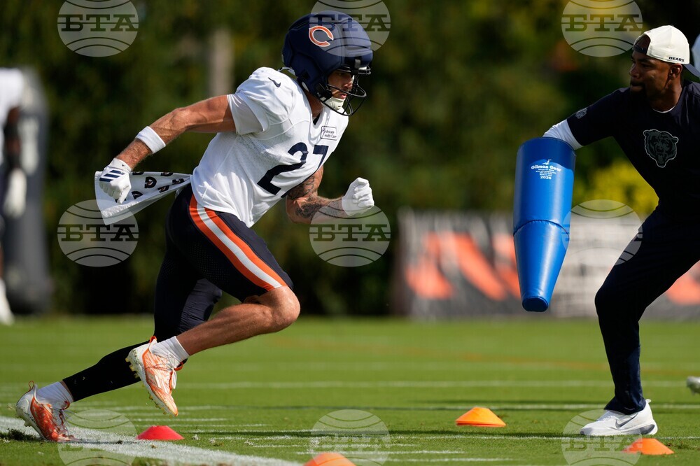 Bears Bengals Camp Football