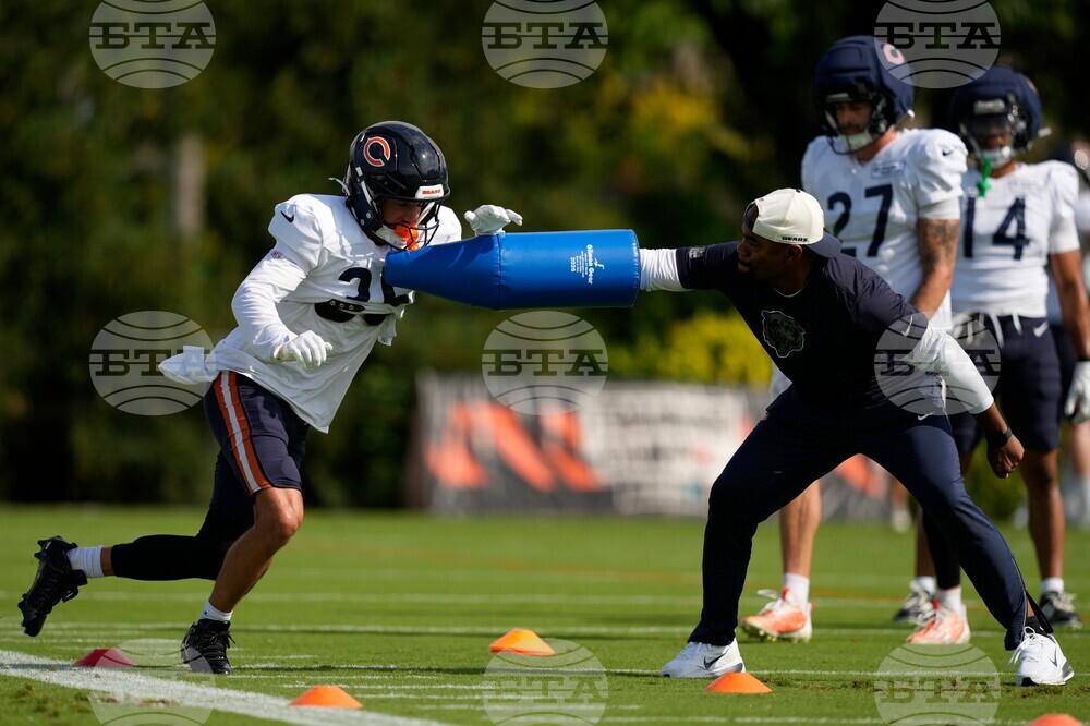 Bears Bengals Camp Football