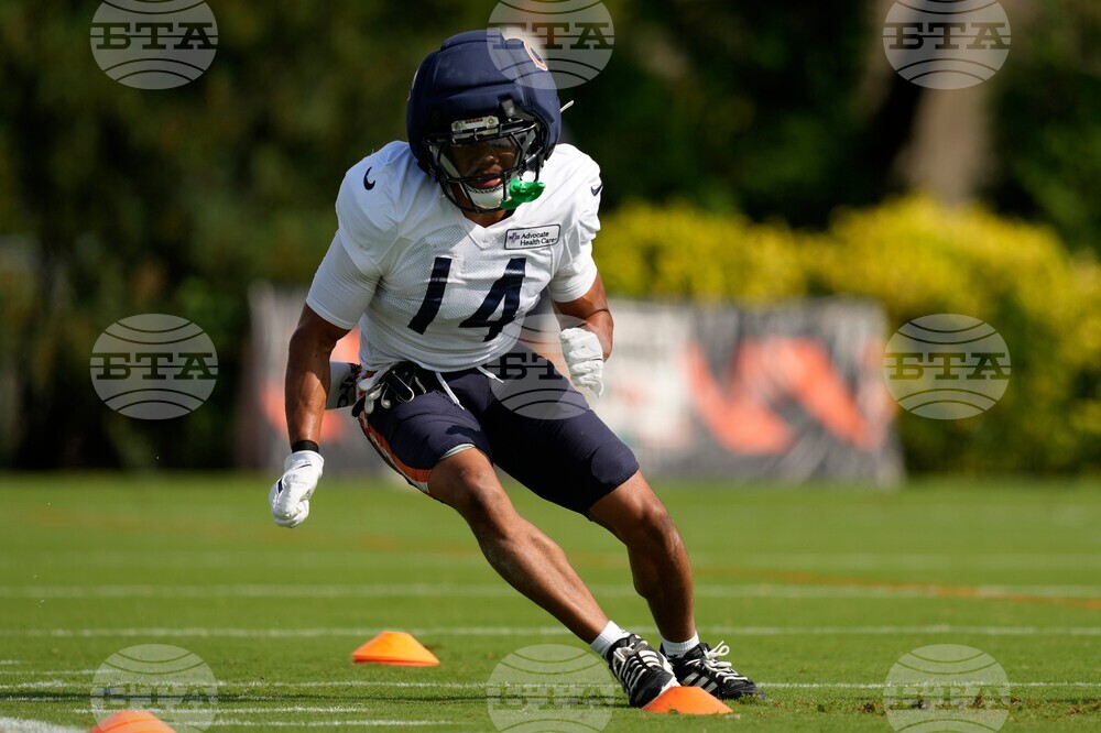 Bears Bengals Camp Football