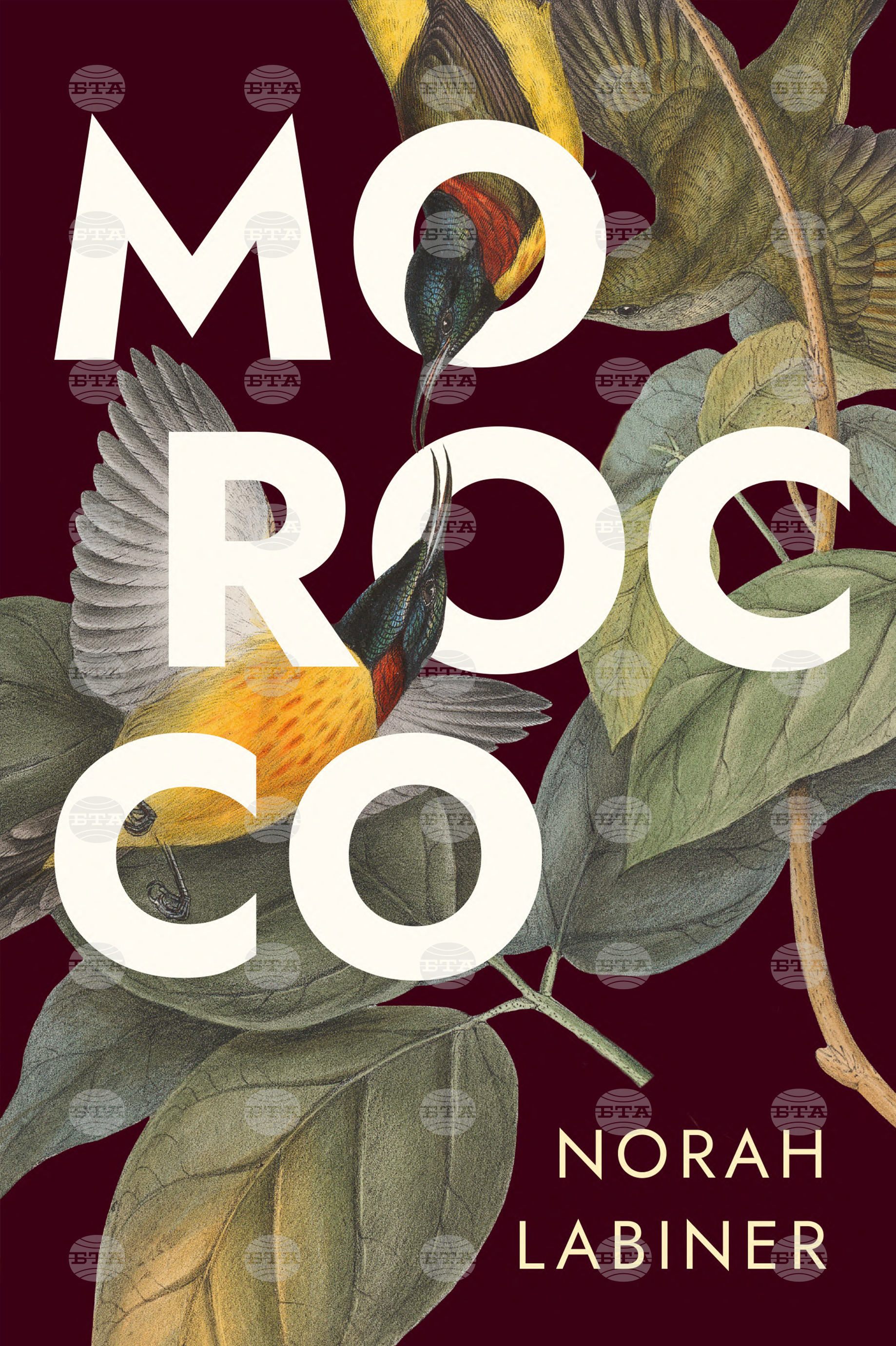 Fall Book Preview