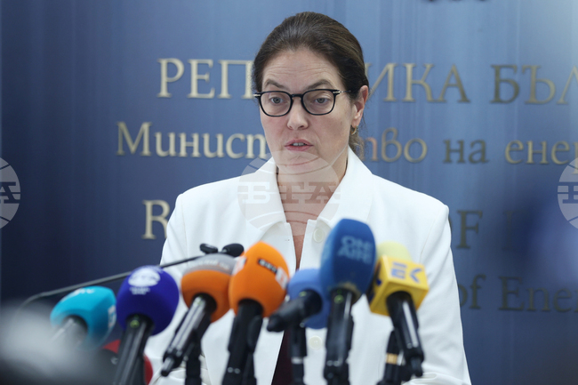 Взето е решение за изграждане на дига на Дунав около района на АЕЦ „Козлодуй“, съобщи министърът на енергетиката Ива Петрова 
