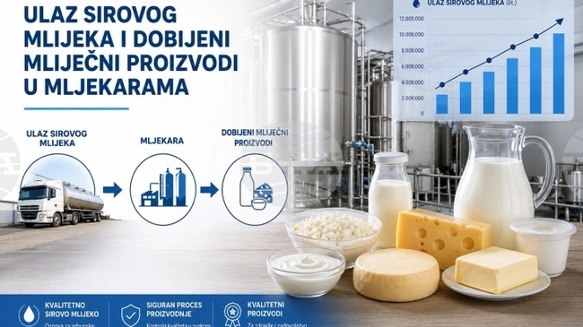 МИНА: Увеличение на изкупеното количество краве мляко отчита черногорската статистическа служба Монстат