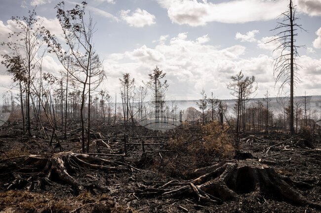 Belgium Wildfires