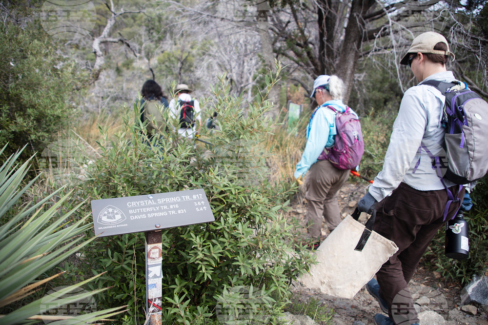 Mount Lemmon Erosion Control